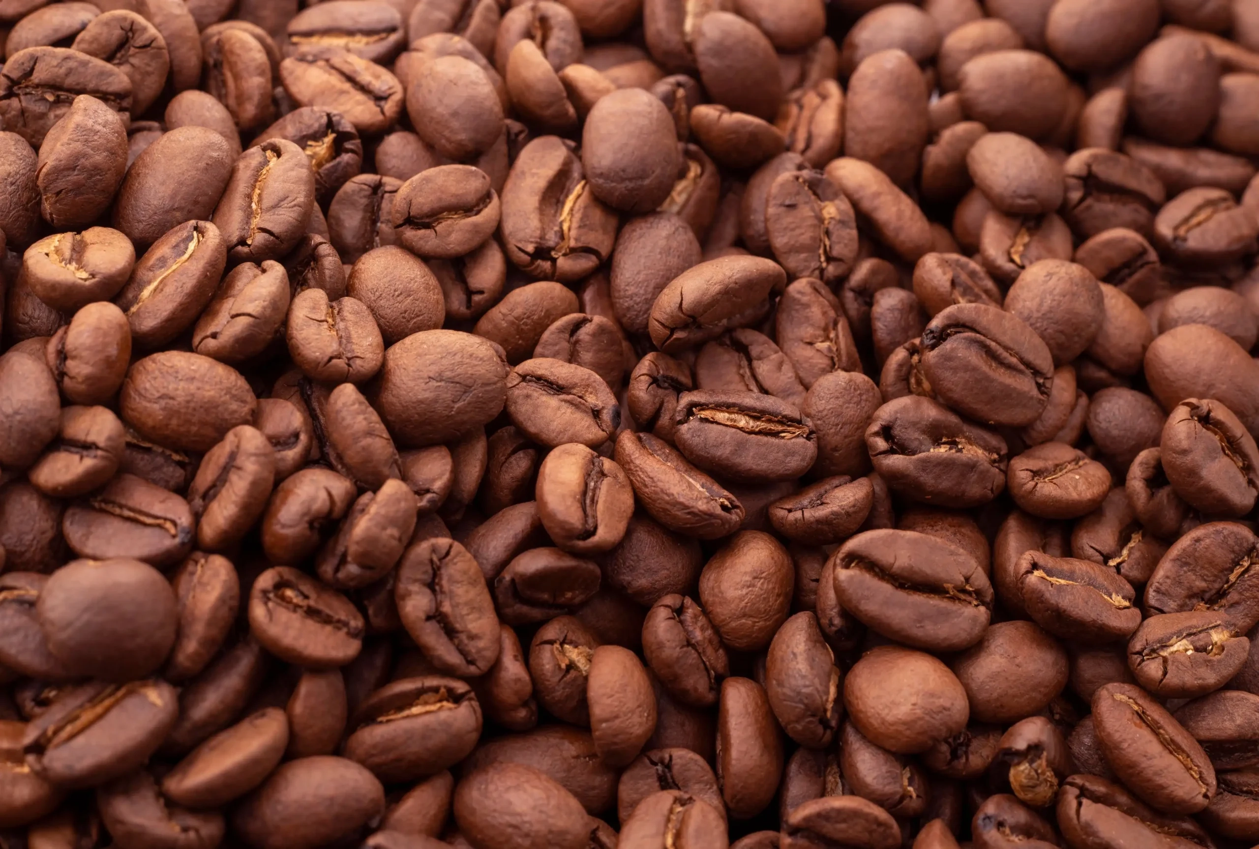 Professionele koffiemolen