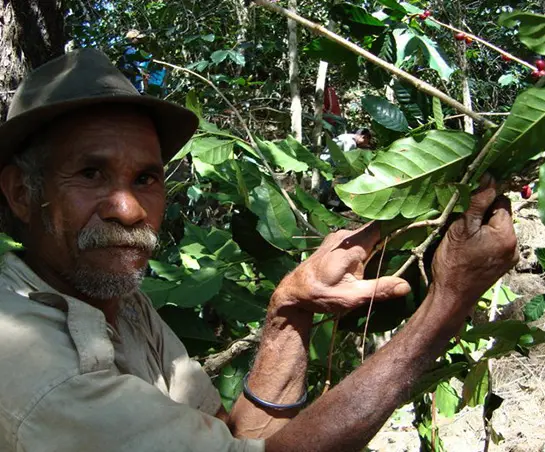 Direct trade koffiebonen