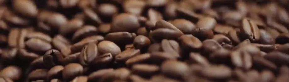 Arabica koffiebonen