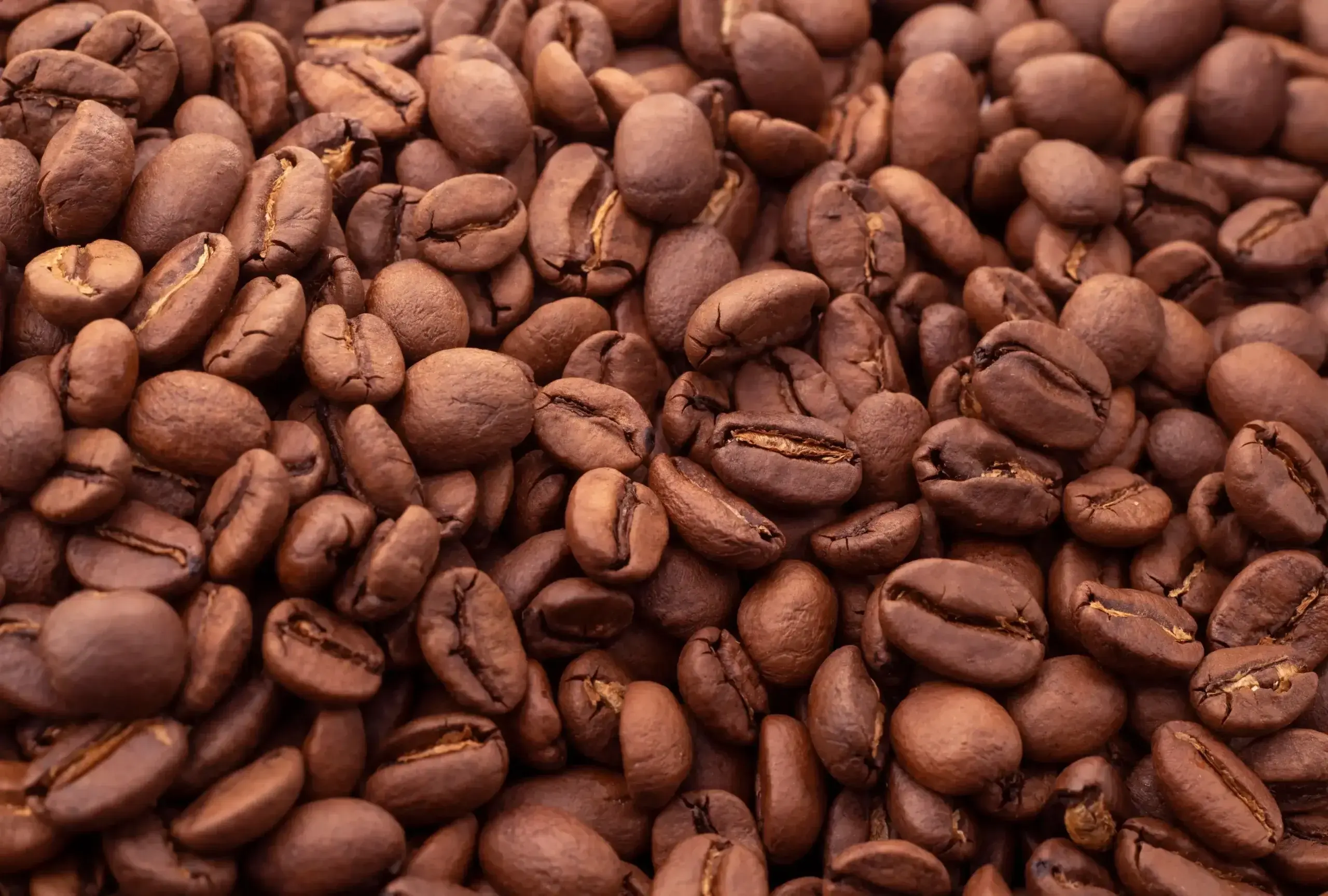 Koffiebonen online bestellen