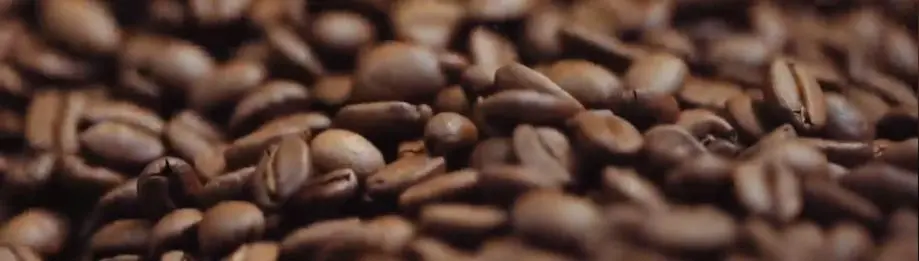 Espresso bonen kopen