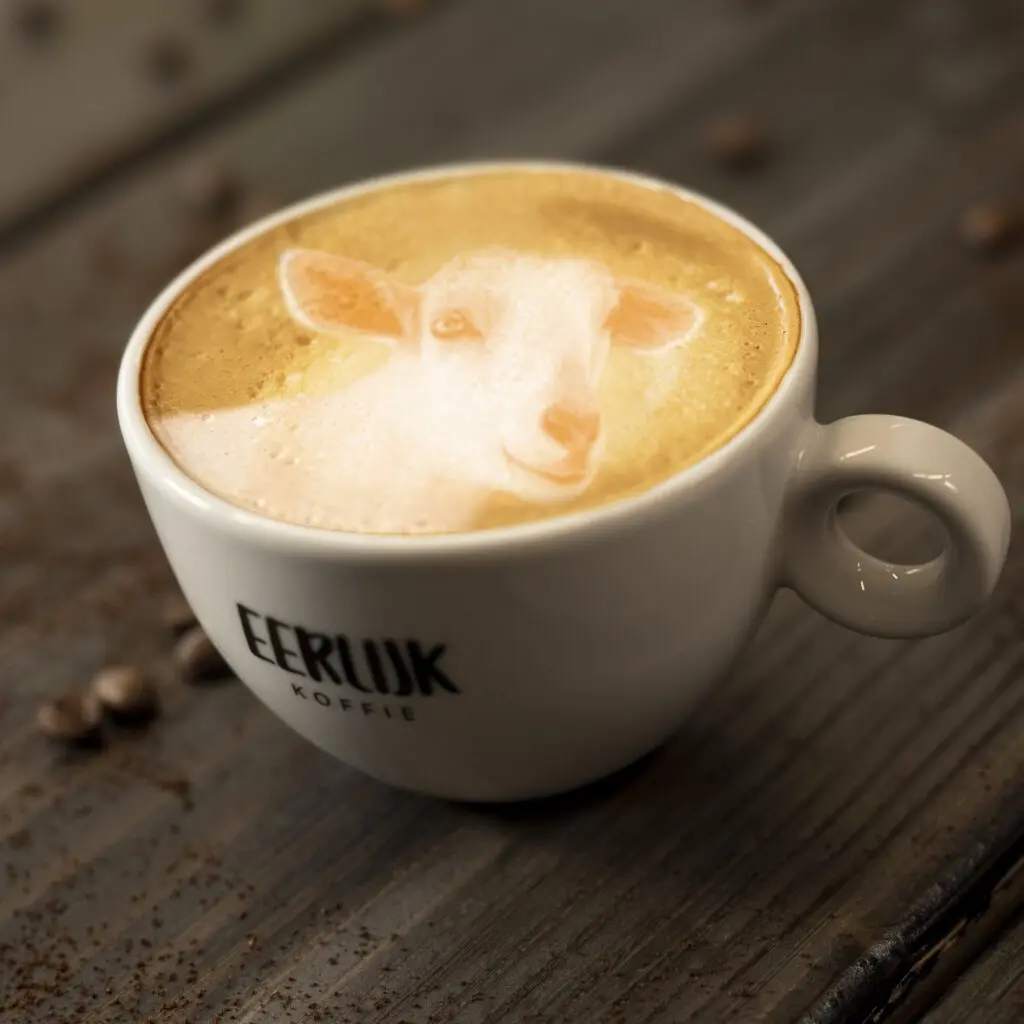 Koffiemachine horeca