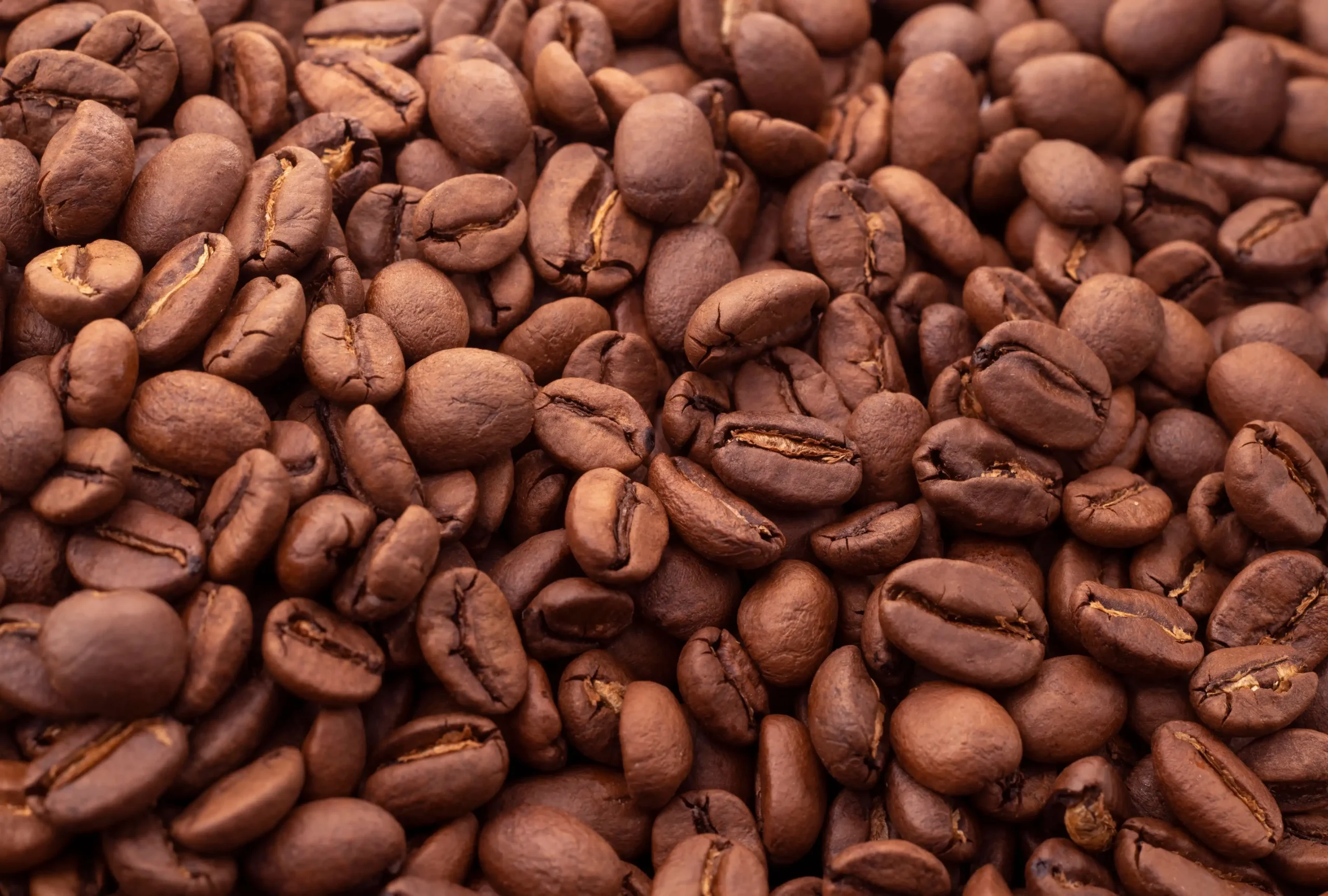 Horeca koffie